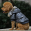 Thumbnail: dog autumn and winter fur collar coat