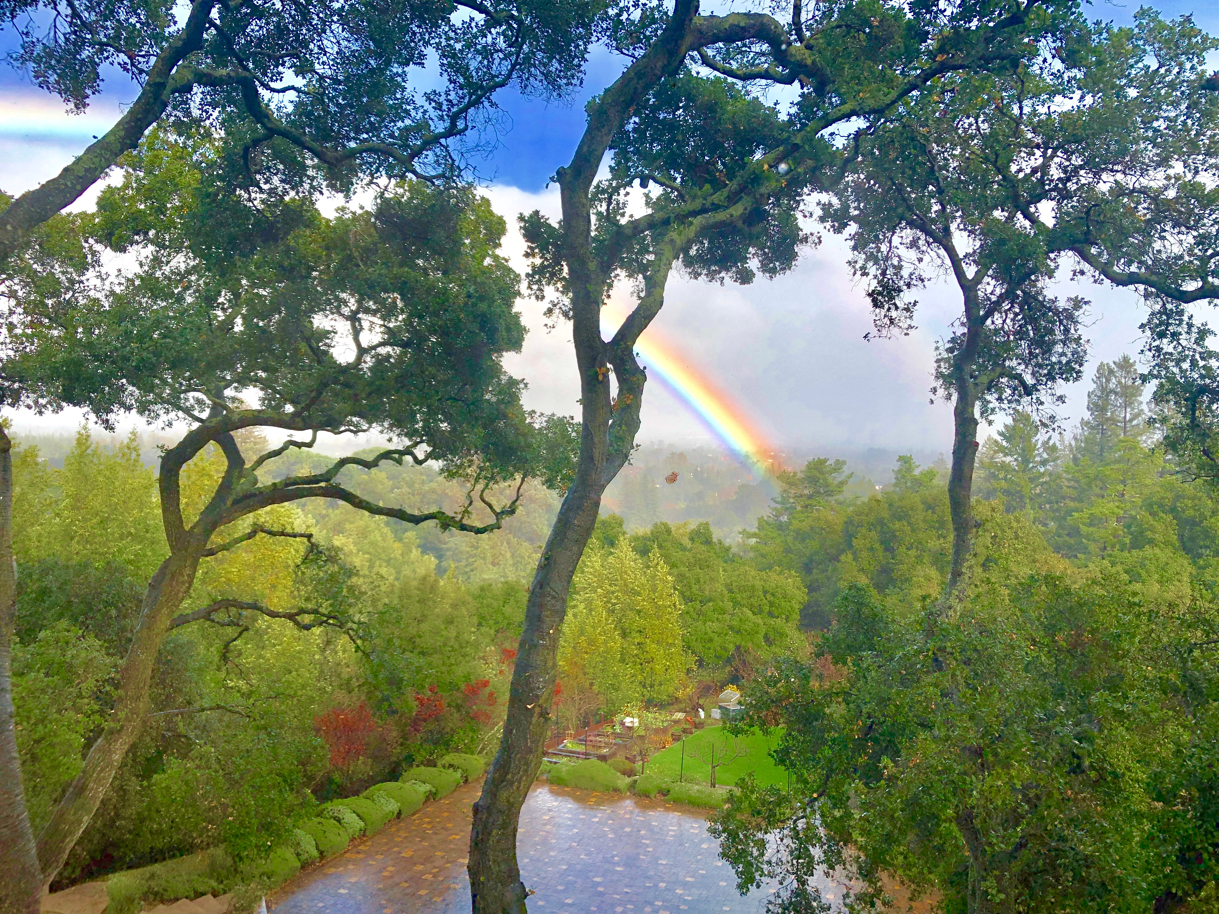 Monte Sereno | Silicon Valley