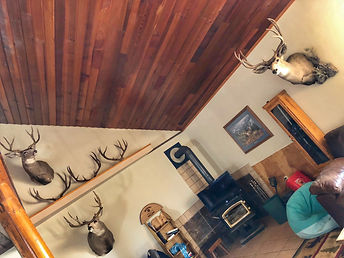 cabin.jpg