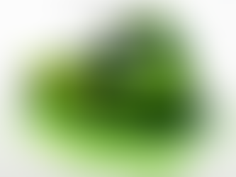theSLRgirl green Monster Energy McLaren 720S