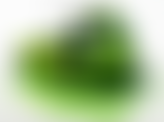 theSLRgirl green Monster Energy McLaren 720S