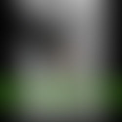 Balade éducative Avec CHAMP