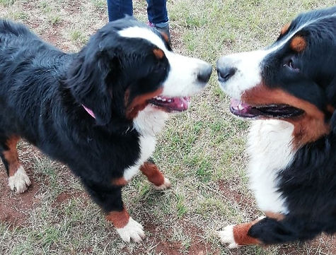 Bella stockholm3_edited.jpg