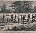 Thomas Scott McLean wellcome.jpg
