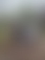 Join Us for the Annual Riversdale SC Golf Day