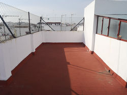 Ruemy Planta Alta Ahora