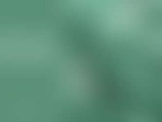 De beste edelstenen voor Waterman