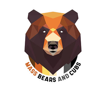 Mass Bears and Cubs Logo - Platinum Sponsor.jpg