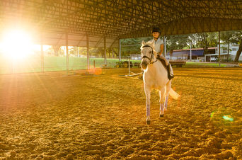 fotografia pet, fotografia de cavalo branco, fotografia de hipismo, hípica bauru, ensaio fotográfico com cães, ensaio pet, ensaio com cachorro, fotografia com cachorro, fotografia de cachorro, menina com seu cão, fotógrafa de pets, fotógrafa veterinária, ensaio de pets em bauru, ensaio de pets em estúdio fotográfico bauru, dani scandolara fotografia