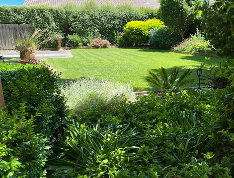 nstp back garden.jpeg