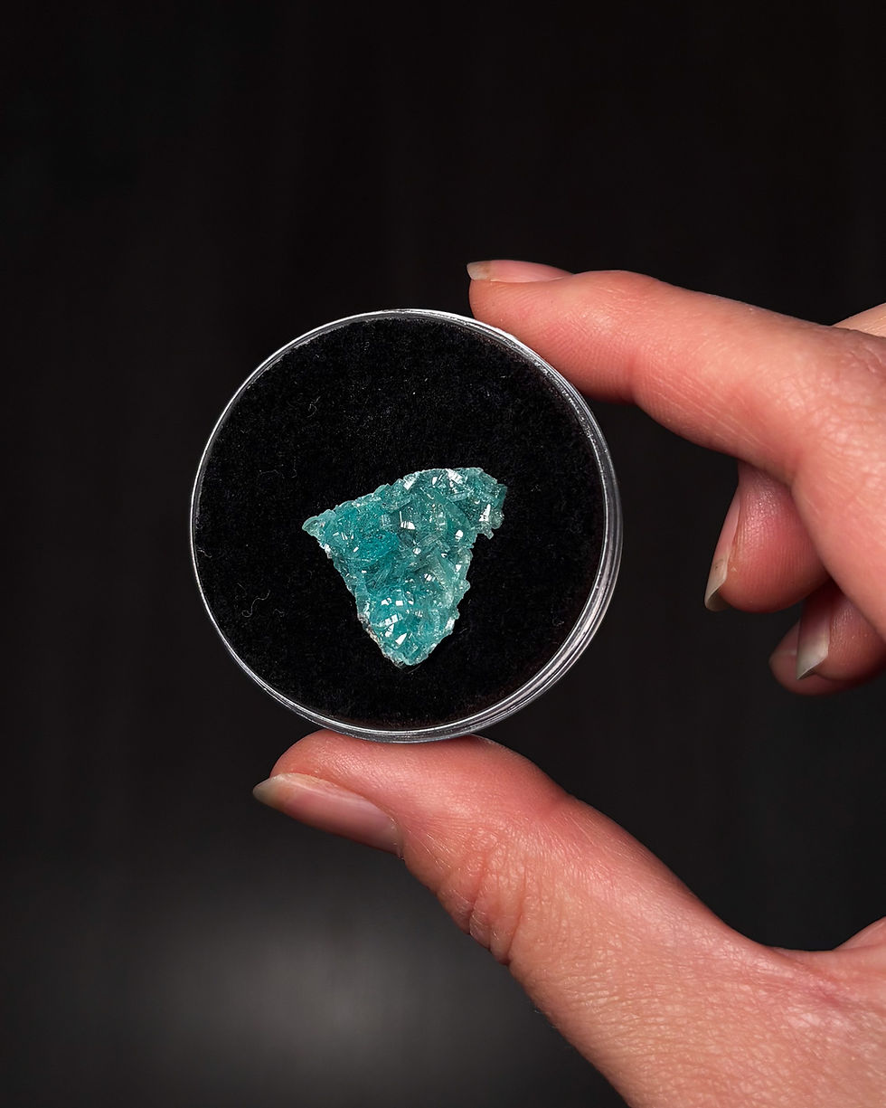 Borcaritas - Charcas