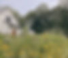 external-file_edited.jpg