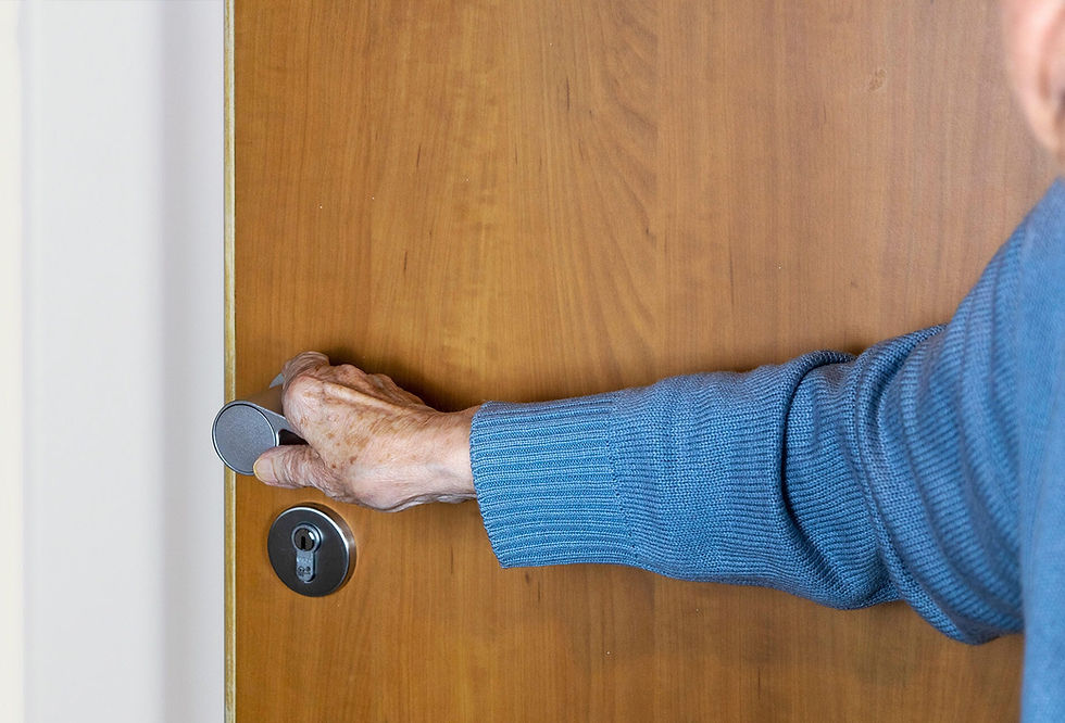 Thumbnail: The Guardian 'Dignity' Door Handle