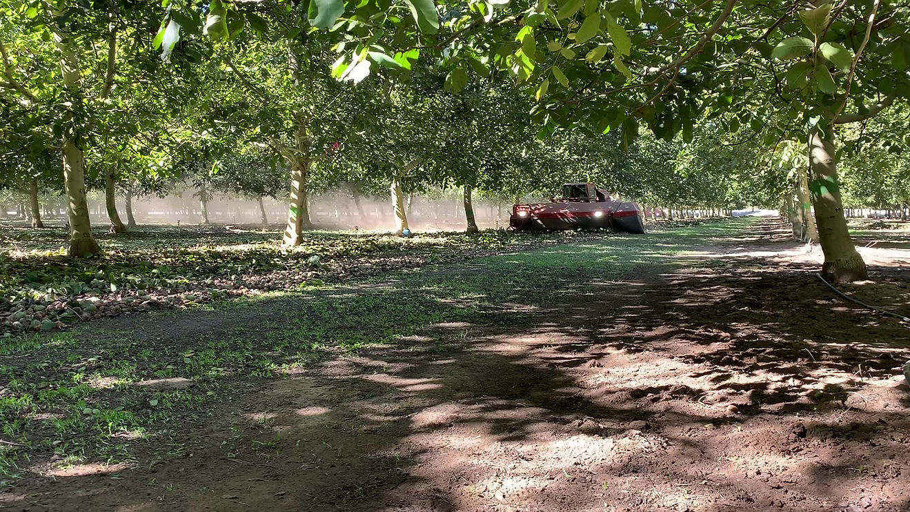 Walnut Processor Crain Ranch United States