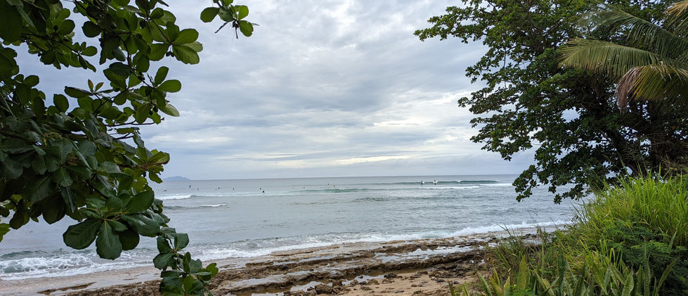 PXL_20220430_144053249 (1).jpg