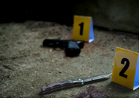 1-advanced-crime-scene-docu_10.png