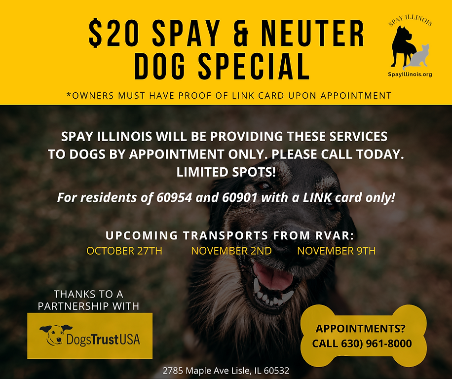 $20 Spay neuter special (Facebook Post)-4.png