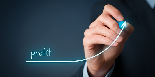 How OTAs, Tour Operators and Travel Agencies can Optimize Profitability in 2020