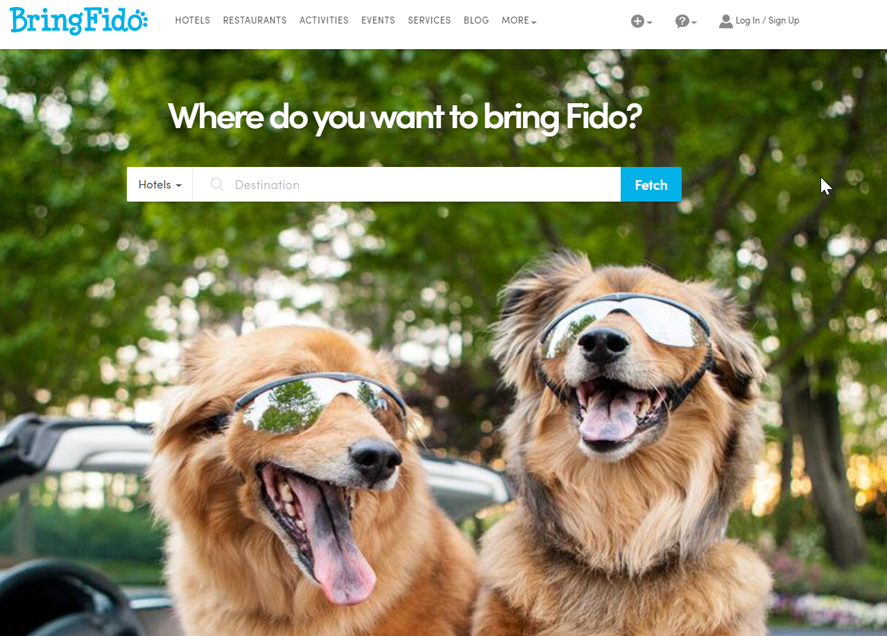 bringfido