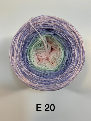 E20.jpeg