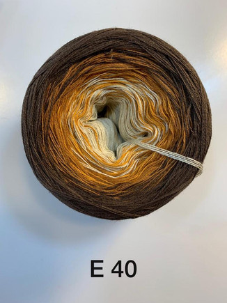E40.jpeg