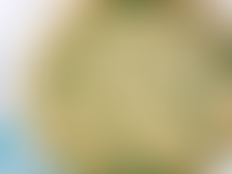 Lemon, Chicken & Orzo Soup