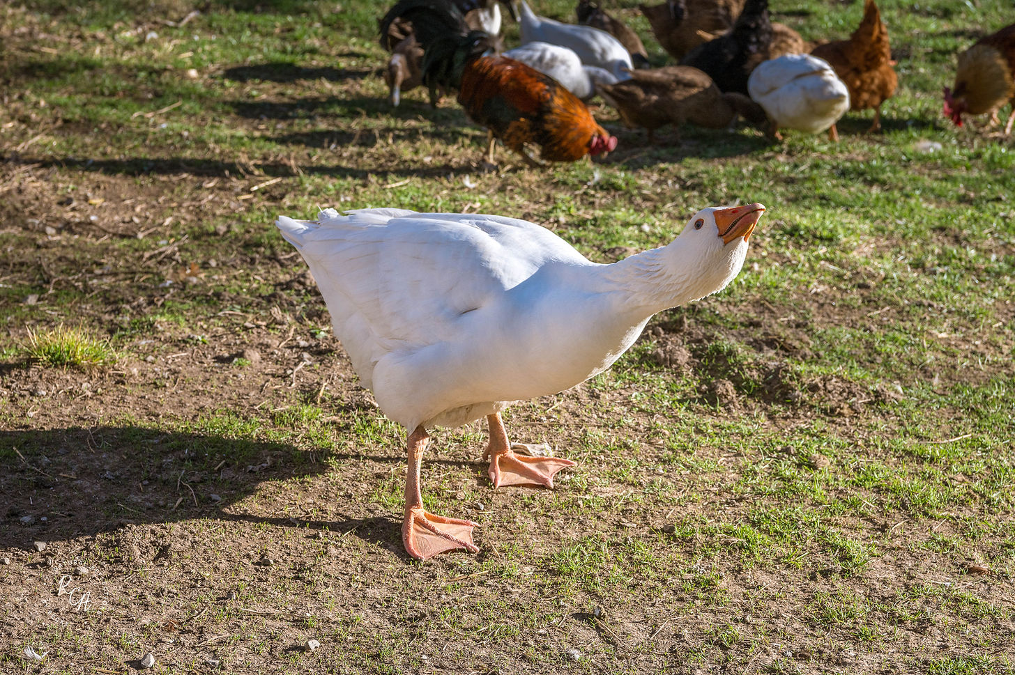 20250318untitled-16.jpg
