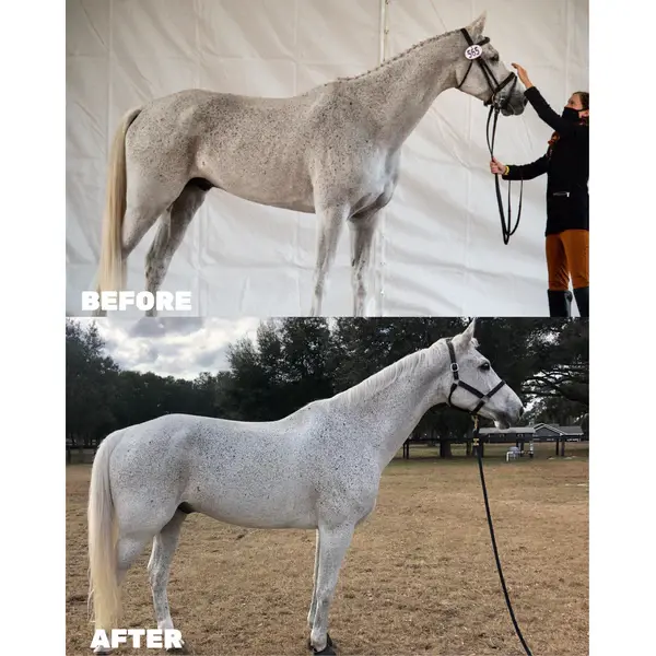 Thumbnail: Seasons Biome Blend