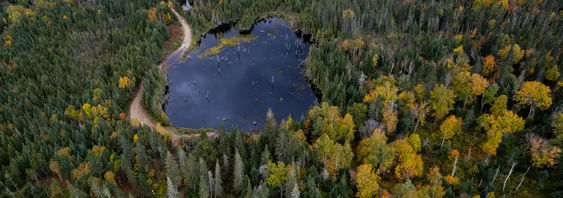 DJI_0058.jpg