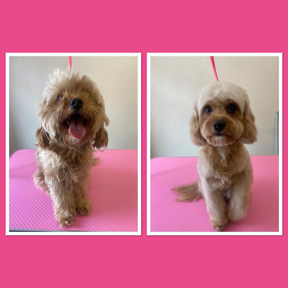 AC2B13D5-9F0E-45D2-A023-22E614C8711A