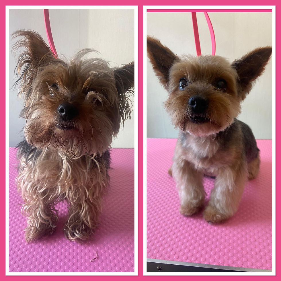 7D139F8E-8850-44C7-954A-4CD85B71B49B