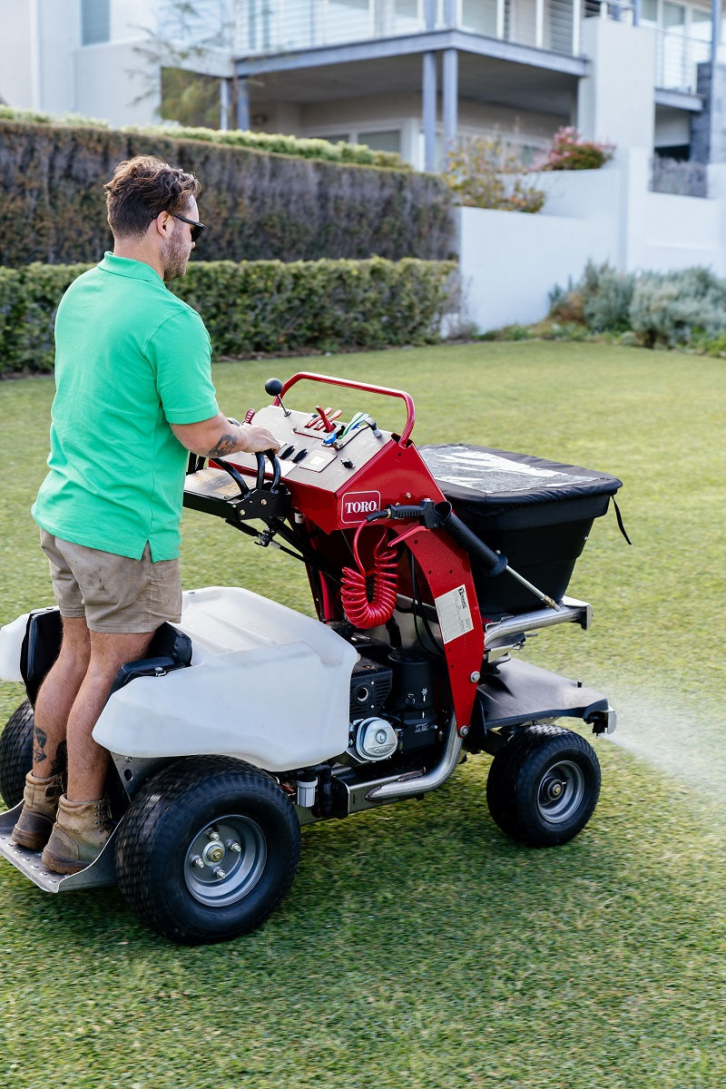 Remove Lawn Weeds Effectively