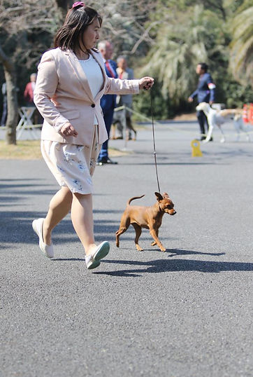 Grace&I in show rink