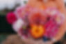 littleforestgardens.-0733.jpg