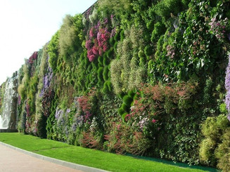 Huge green wall.jpeg
