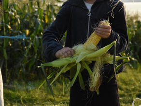 Säsongsavslutning 2025