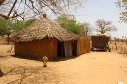 village puits ngom 136