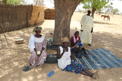 village puits ngom 128