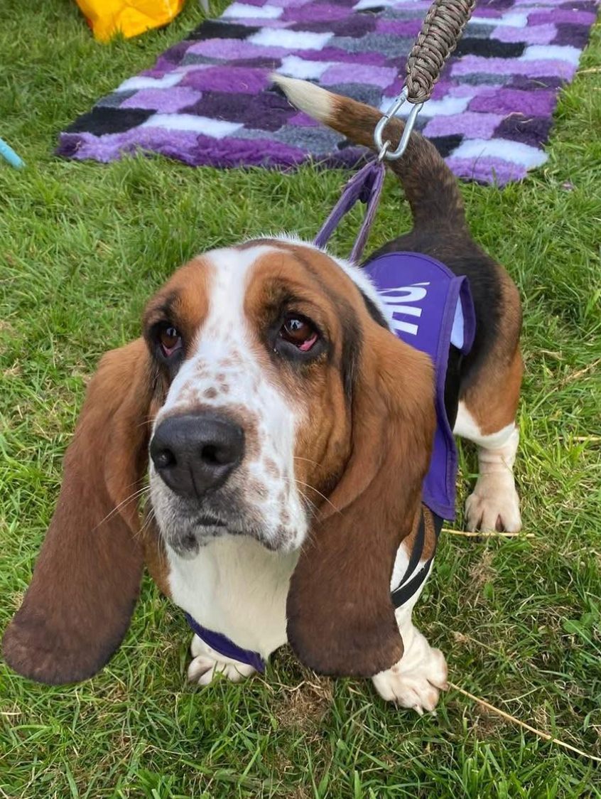 Screenshot 2026-04-04 at 18.53.02