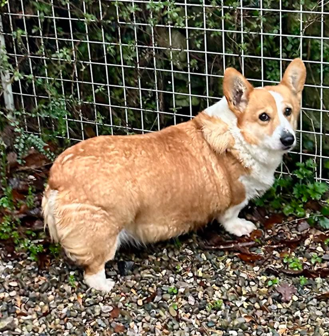 Karina -12-22 at 22.10.11