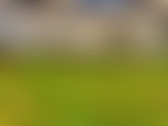 ⛳️ Små golfdrømmer – på et helt spesielt sted