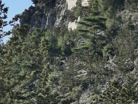 Buffavento Castle, har hele Nord Kypros under sine "føtter"