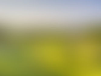 Bli sjarmert av panoramautsikten.