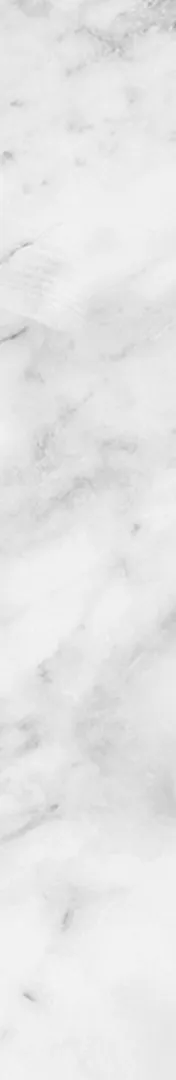 cerulean pear pet transportation