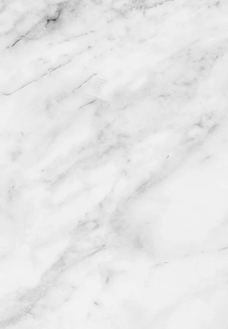 プロフィール 今田匡彦 研究室