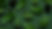 avocados-with-lettuce-scattered-on-table_edited_edited.jpg