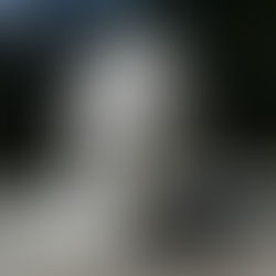 小尾はじめ 頭部