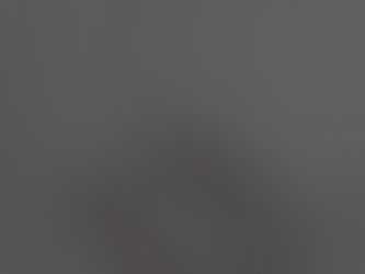 「裏表」鉄(ワイヤーメッシュ)h75×60×70cm