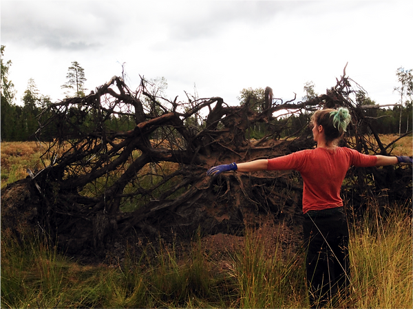 Rejmyre Artlab, Clearcut, Performance Art, Ingeborg Blom Andersskog Norwegian Artist
