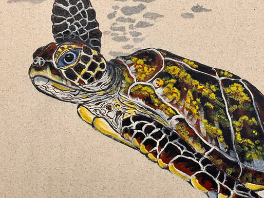 Umwelt -- Loggerhead Turtle